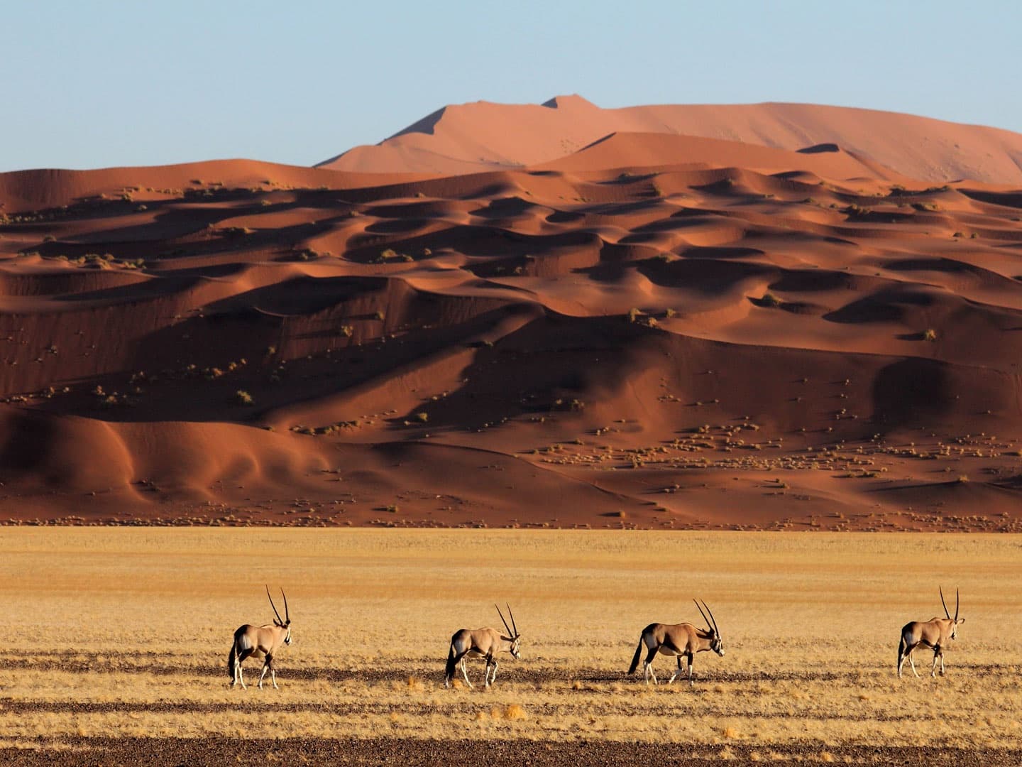 Viajes a Namibia