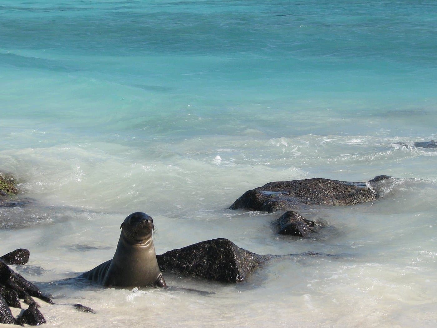 ¿Preparado para descubrir cuatro mundos?