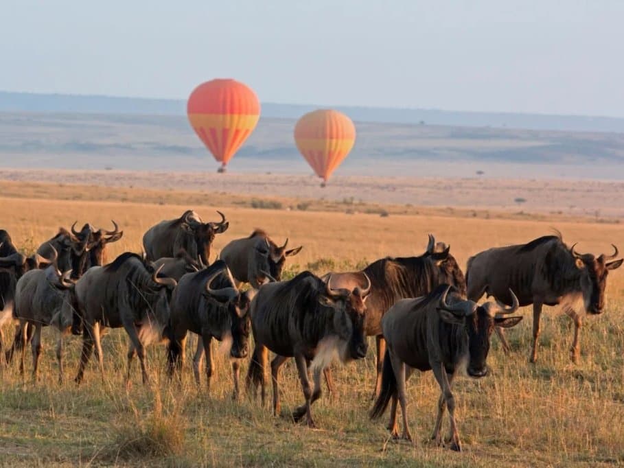 ¿Diseñamos tu viaje a Tanzania?